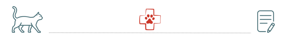 healthy dog supported by pet insurance care at Del Valle Pet Hospital Livermore CA